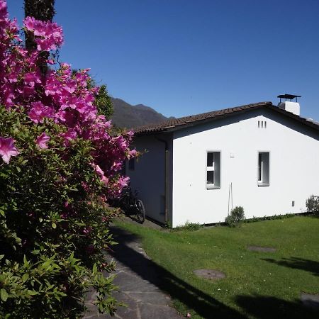 Residenza Paradiso Di Vacanze Minusio Exterior photo