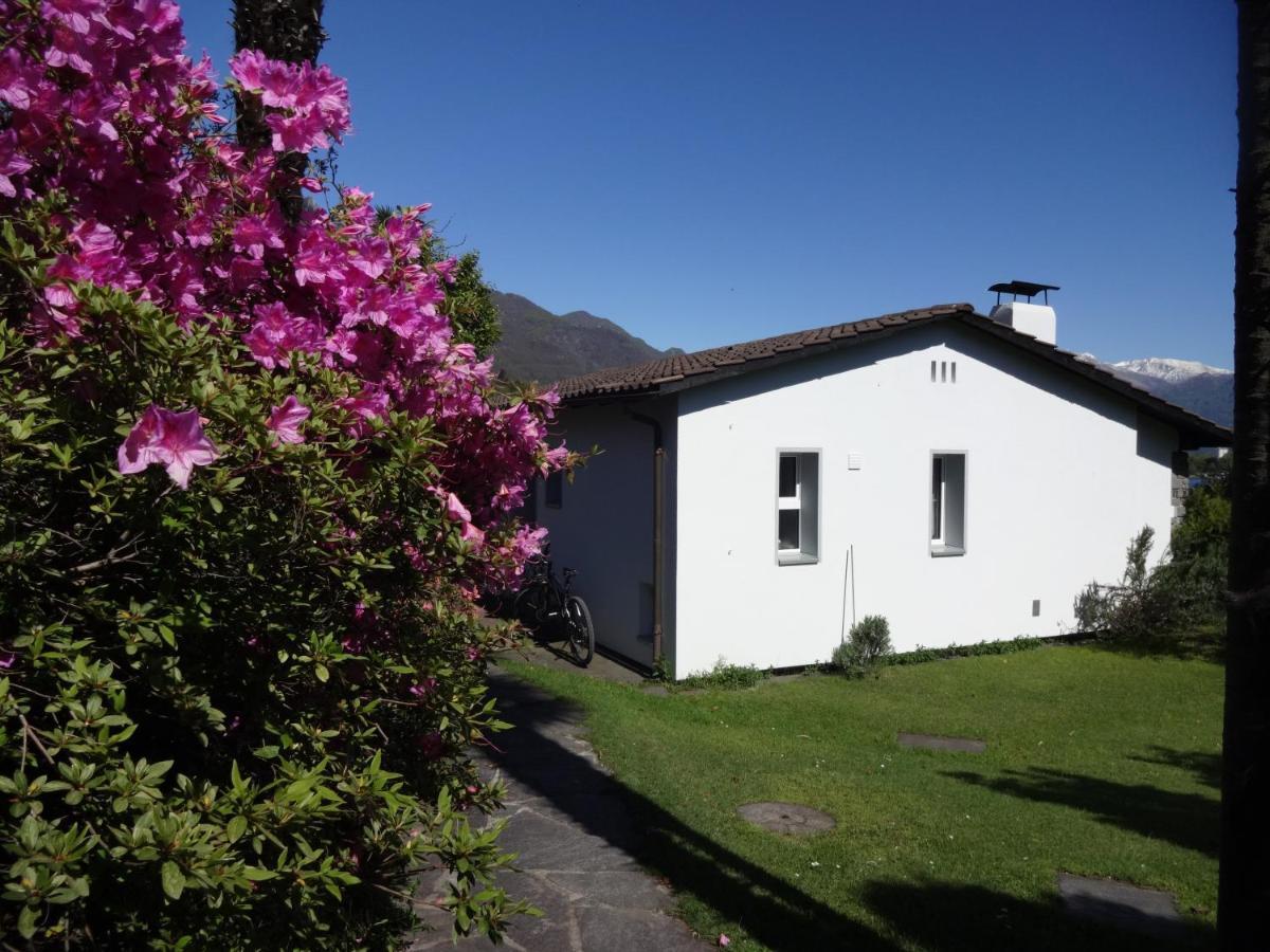 Residenza Paradiso Di Vacanze Minusio Exterior photo