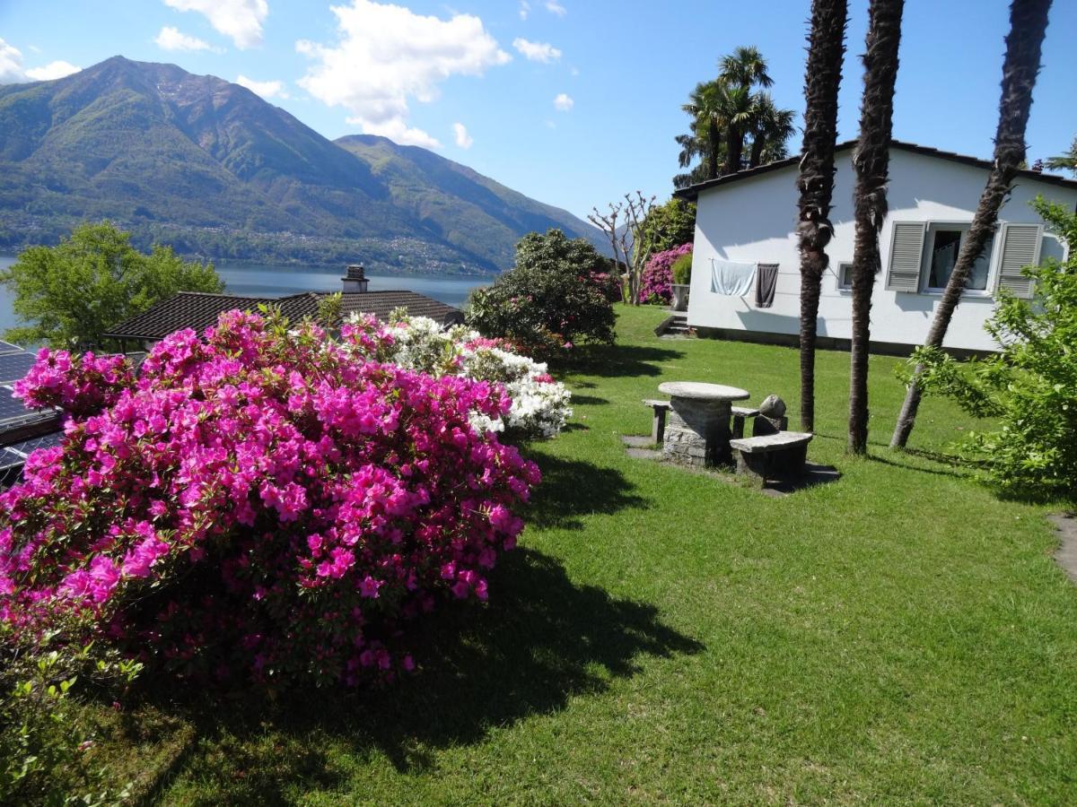 Residenza Paradiso Di Vacanze Minusio Exterior photo
