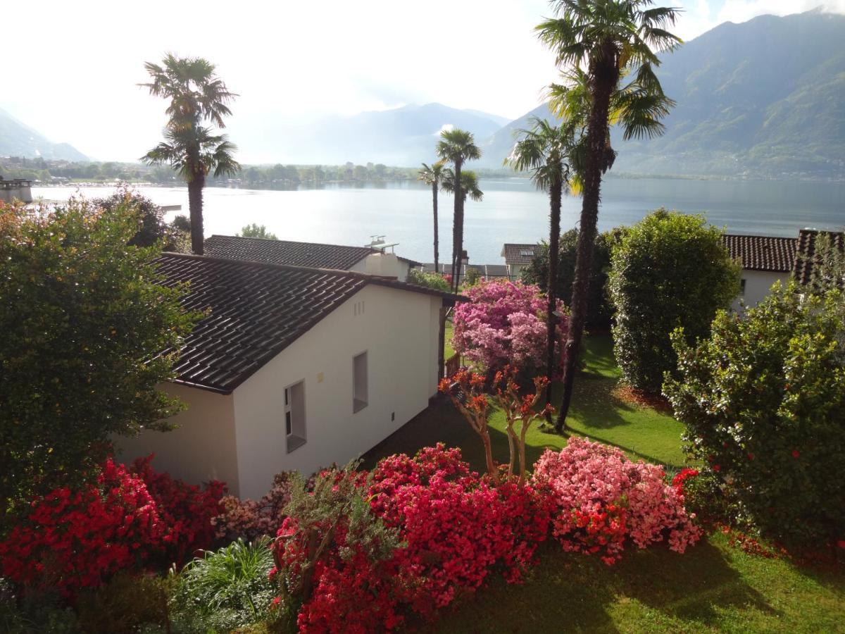 Residenza Paradiso Di Vacanze Minusio Exterior photo