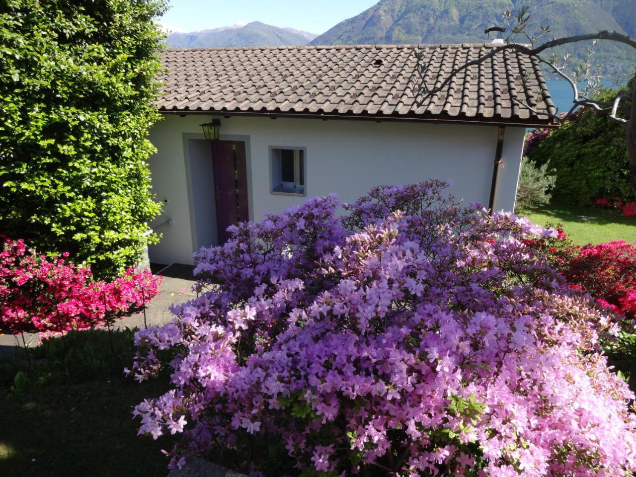 Residenza Paradiso Di Vacanze Minusio Exterior photo